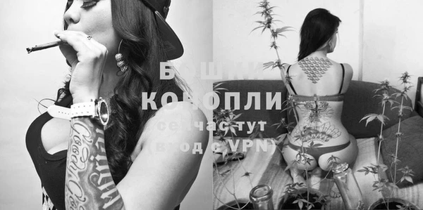 гидропоника Балахна